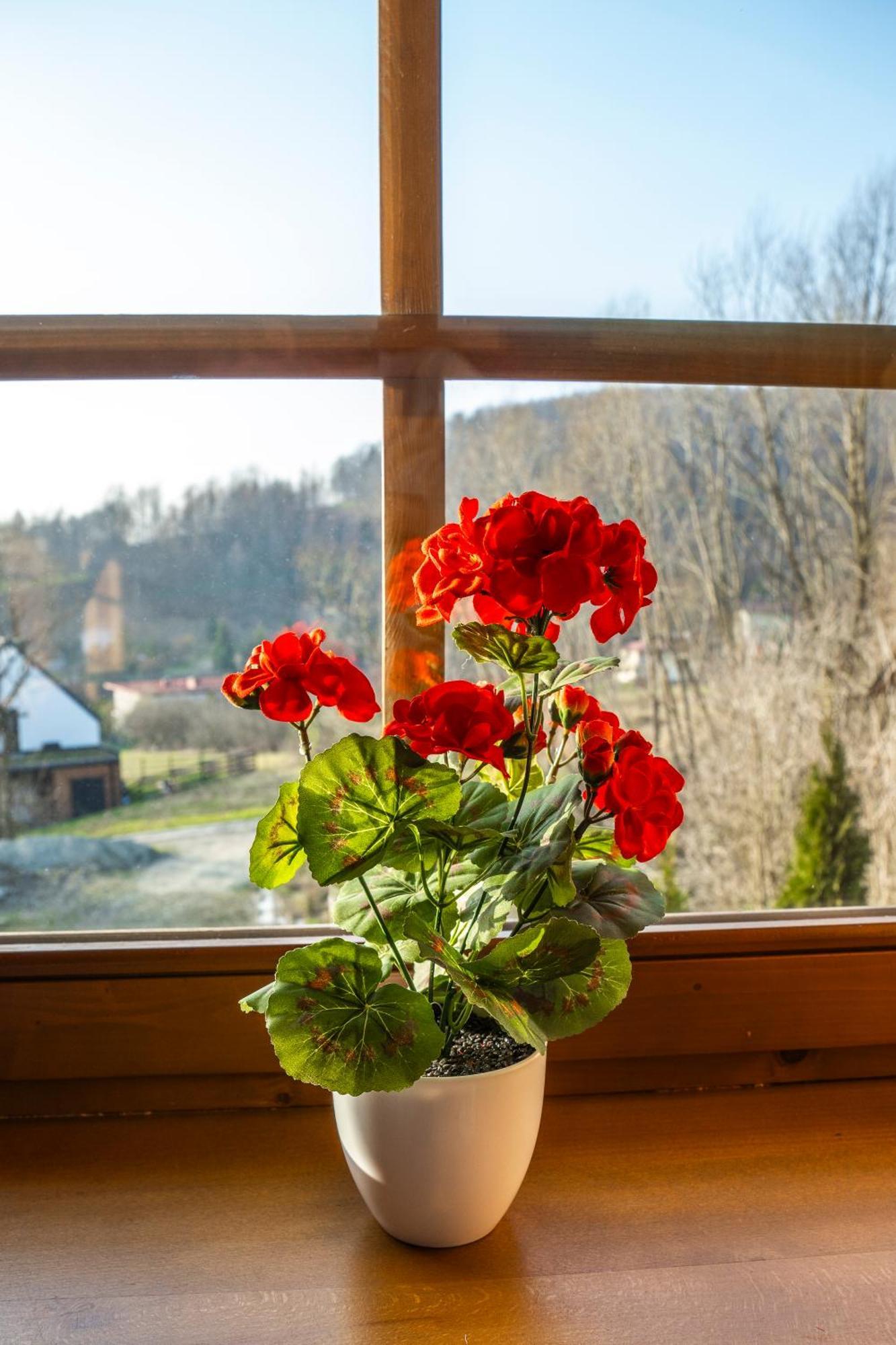 Villa Jaworowa Osada Brenna Esterno foto